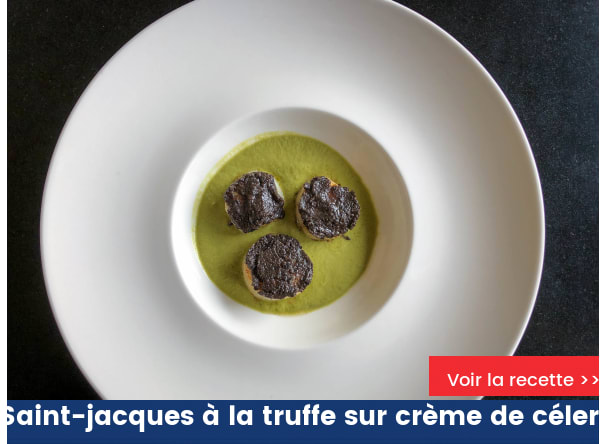 Saint-jacques à la truffe sur crème de céleri
